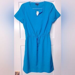 The Limited Cerulean Blue Drawstring mini Dress